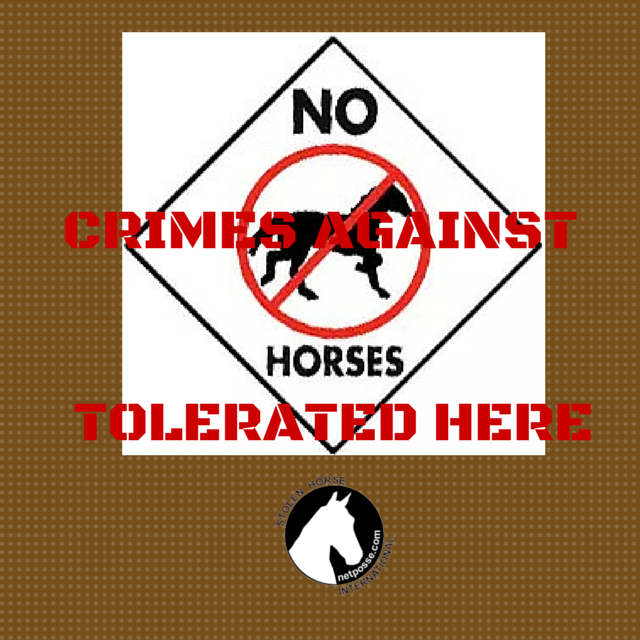 No Horse Cruelty Allowed